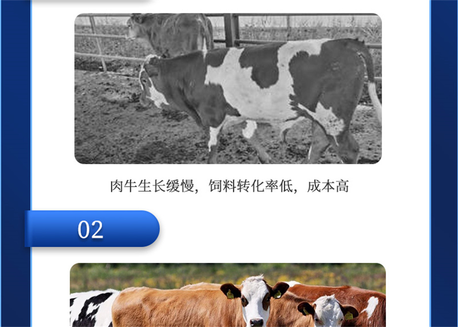 吉隆达动保牛饲料添加剂肉牛多矿产品介绍 吉隆达动保牛饲料添加剂肉牛多矿产品介绍