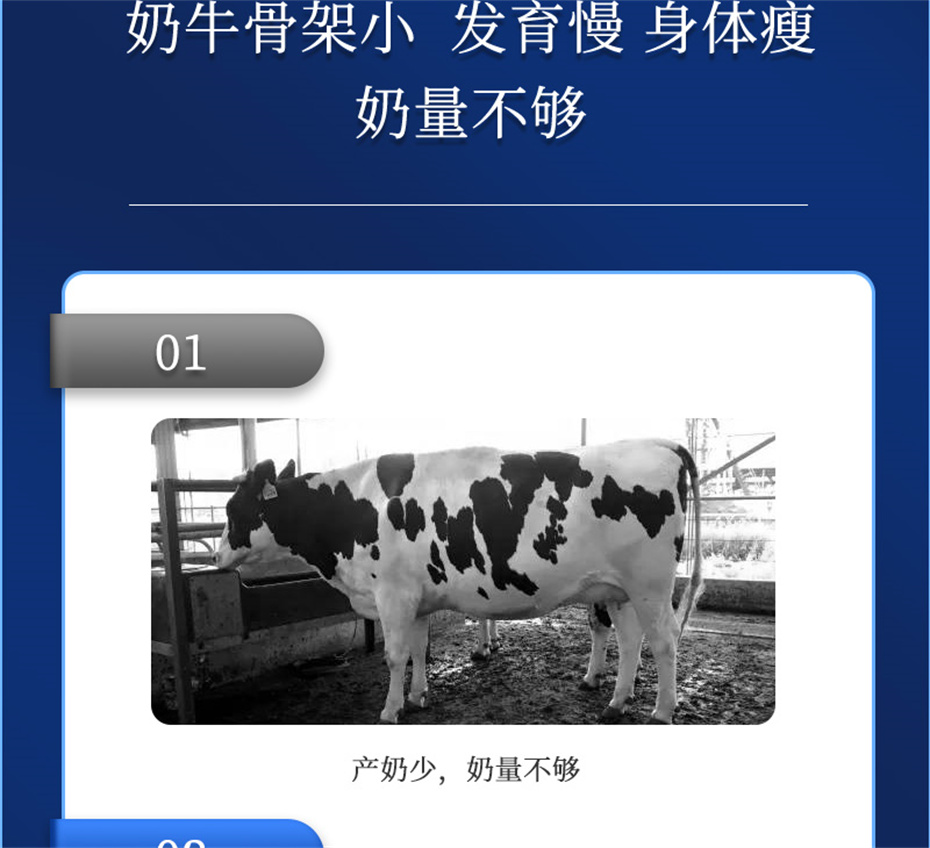 吉隆达动保牛饲料添加剂奶牛多矿产品介绍 吉隆达动保牛饲料添加剂奶牛多矿产品介绍