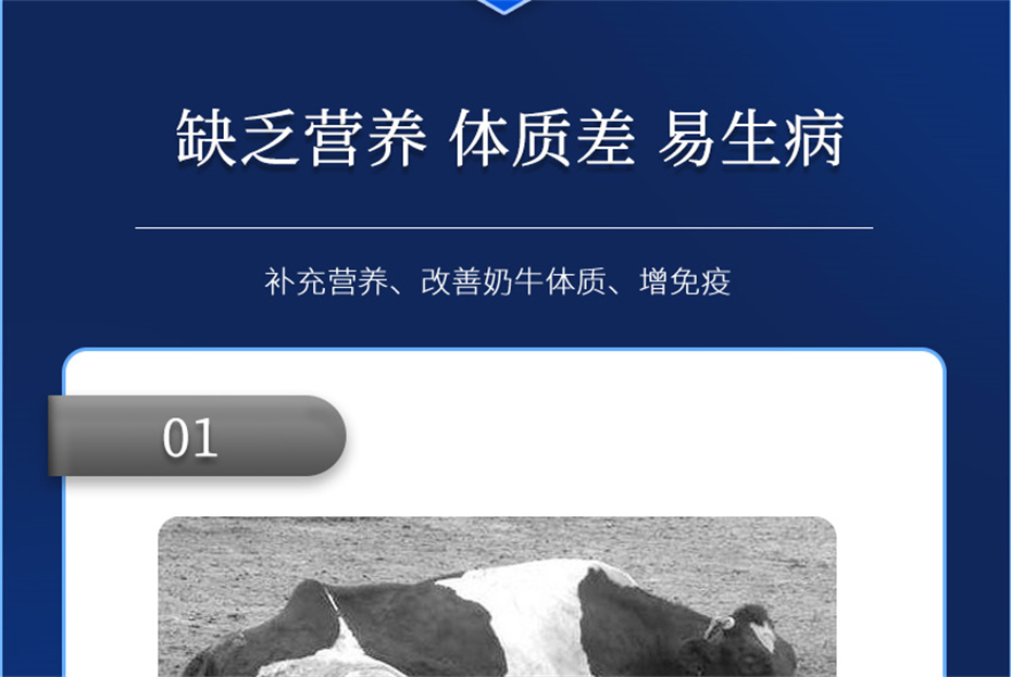 吉隆达动保牛饲料添加剂奶牛多矿产品介绍 吉隆达动保牛饲料添加剂奶牛多矿产品介绍