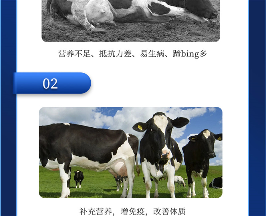 吉隆达动保牛饲料添加剂奶牛多矿产品介绍 吉隆达动保牛饲料添加剂奶牛多矿产品介绍