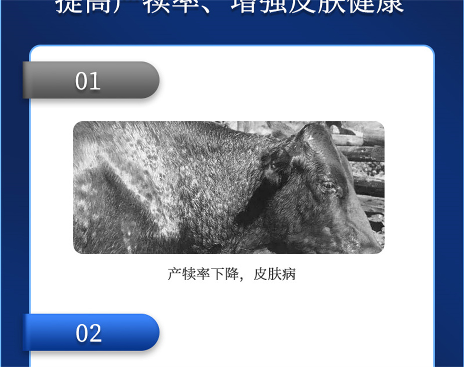 吉隆达动保牛羊饲料添加剂健立血牛羊产品介绍 吉隆达动保牛羊饲料添加剂健立血牛羊产品介绍