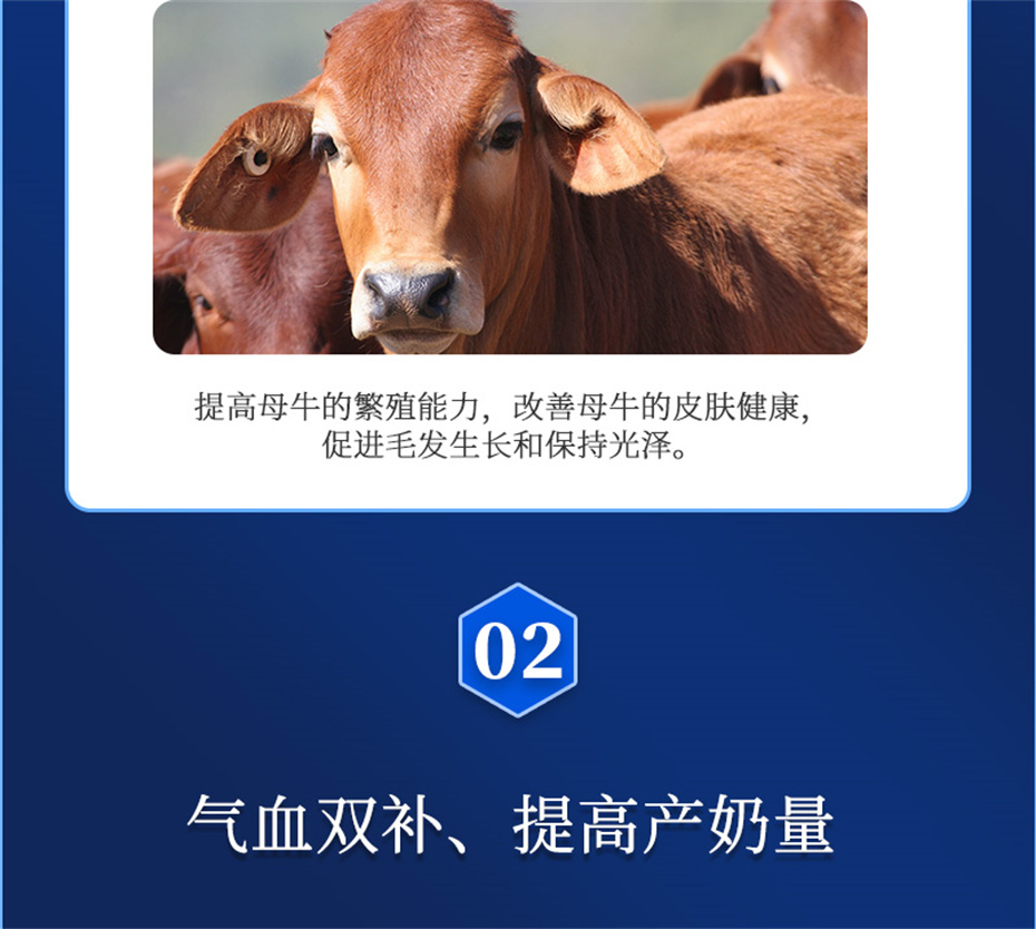吉隆达动保牛羊饲料添加剂健立血牛羊产品介绍 吉隆达动保牛羊饲料添加剂健立血牛羊产品介绍