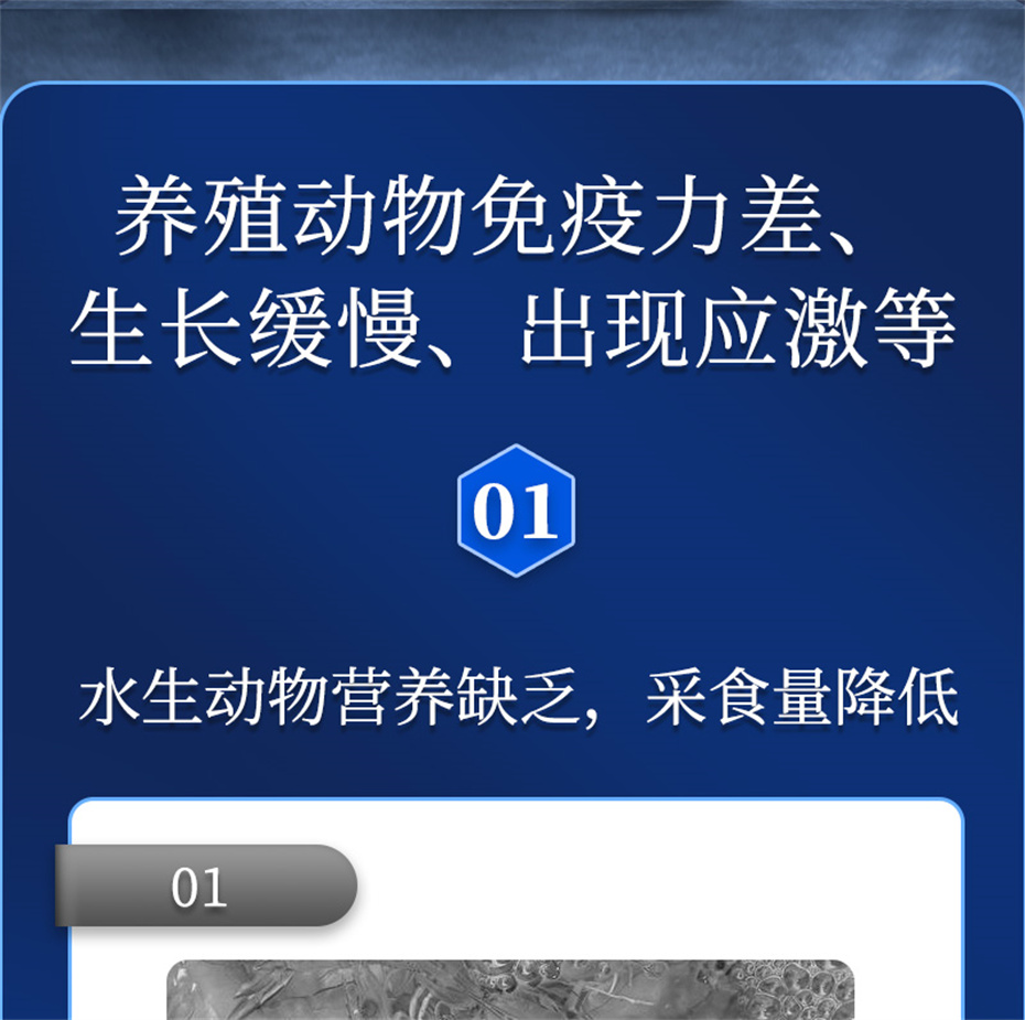 吉隆达动保水产饲料添加剂维他1号产品介绍 吉隆达动保水产饲料添加剂维他1号产品介绍