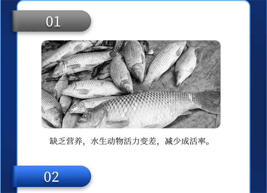 吉隆达动保水产饲料添加剂维他1号产品介绍 吉隆达动保水产饲料添加剂维他1号产品介绍