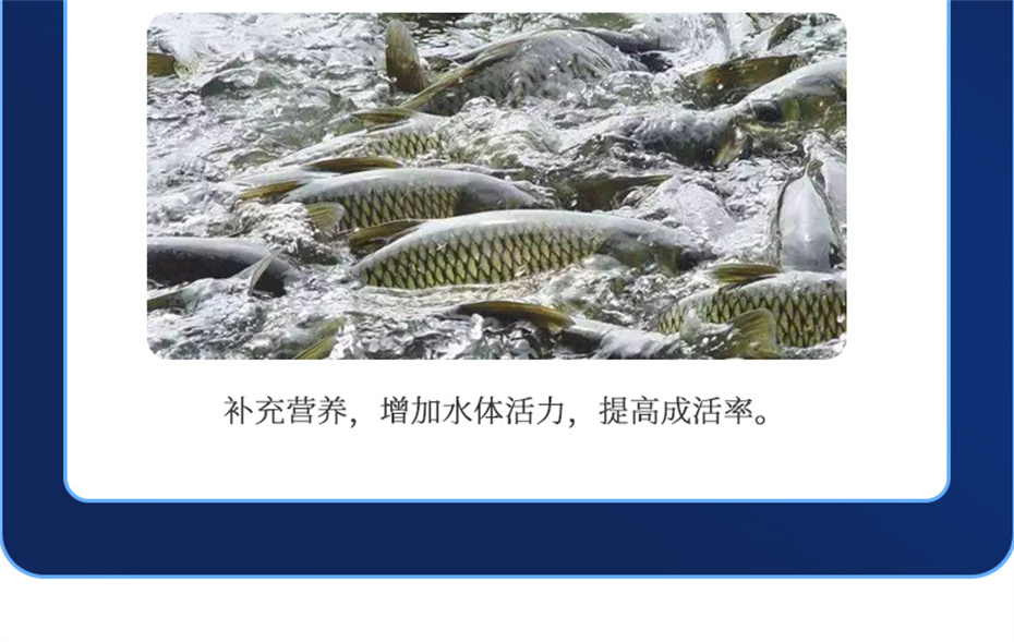 吉隆达动保水产饲料添加剂维他1号产品介绍 吉隆达动保水产饲料添加剂维他1号产品介绍