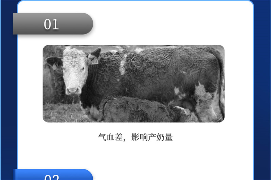 吉隆达动保牛羊饲料添加剂健立血牛羊产品介绍 吉隆达动保牛羊饲料添加剂健立血牛羊产品介绍