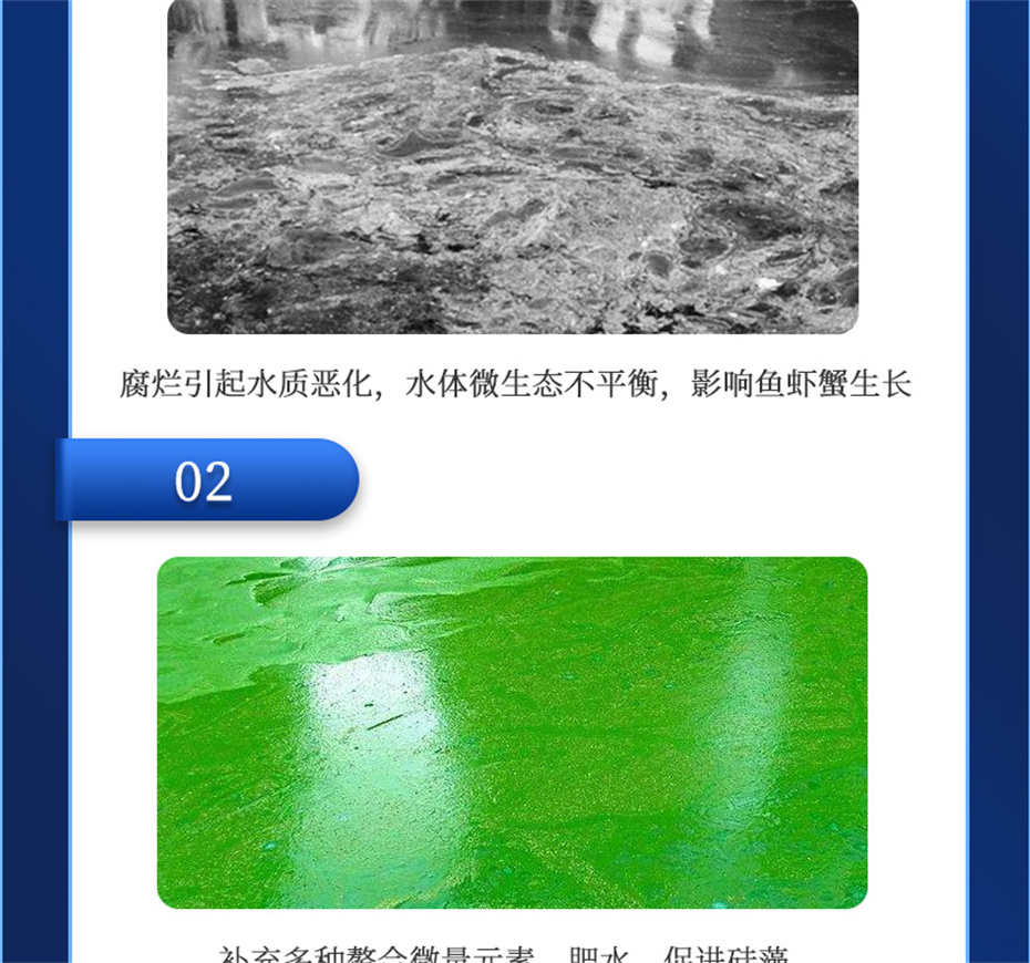 吉隆达动保水产饲料添加剂水藻1号产品介绍 吉隆达动保水产饲料添加剂水藻1号产品介绍