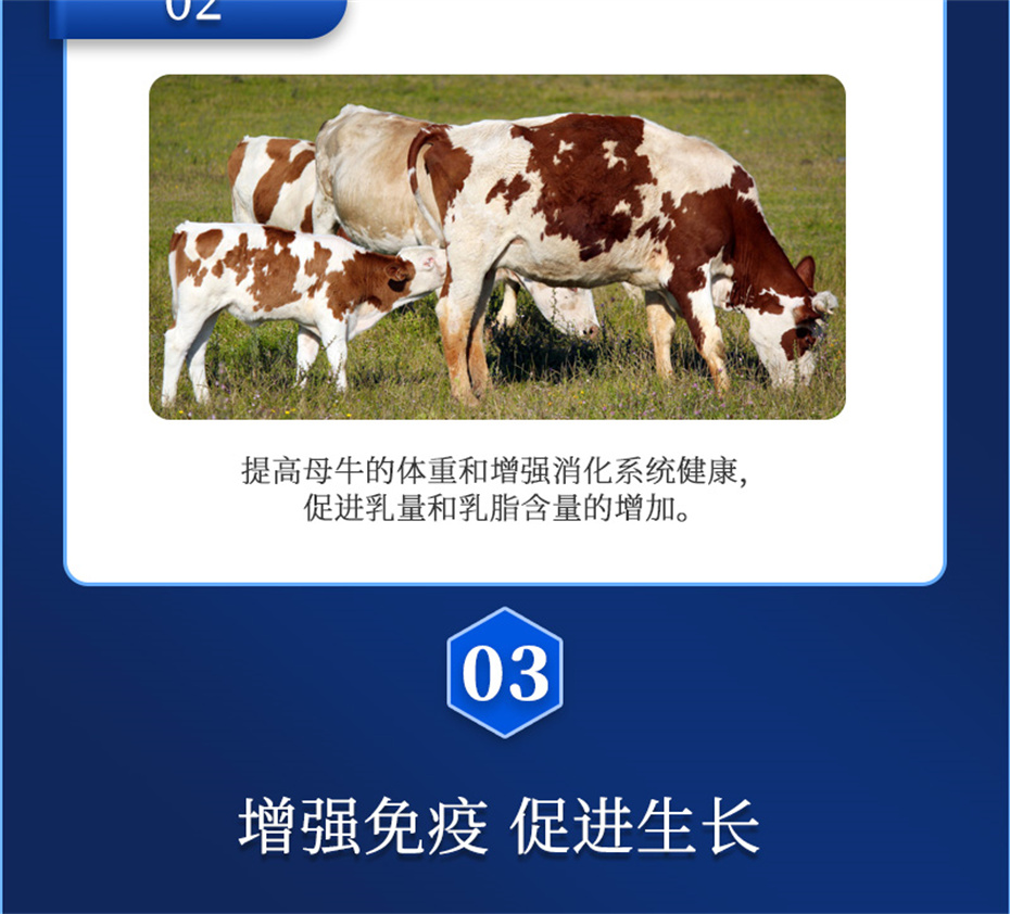 吉隆达动保牛羊饲料添加剂健立血牛羊产品介绍 吉隆达动保牛羊饲料添加剂健立血牛羊产品介绍