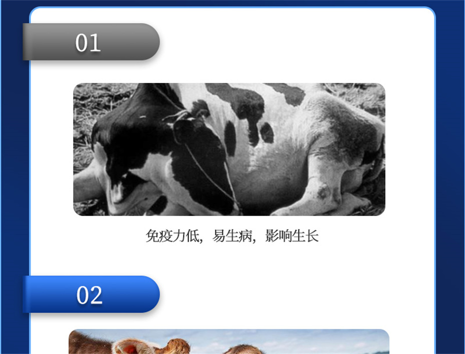吉隆达动保牛羊饲料添加剂健立血牛羊产品介绍 吉隆达动保牛羊饲料添加剂健立血牛羊产品介绍