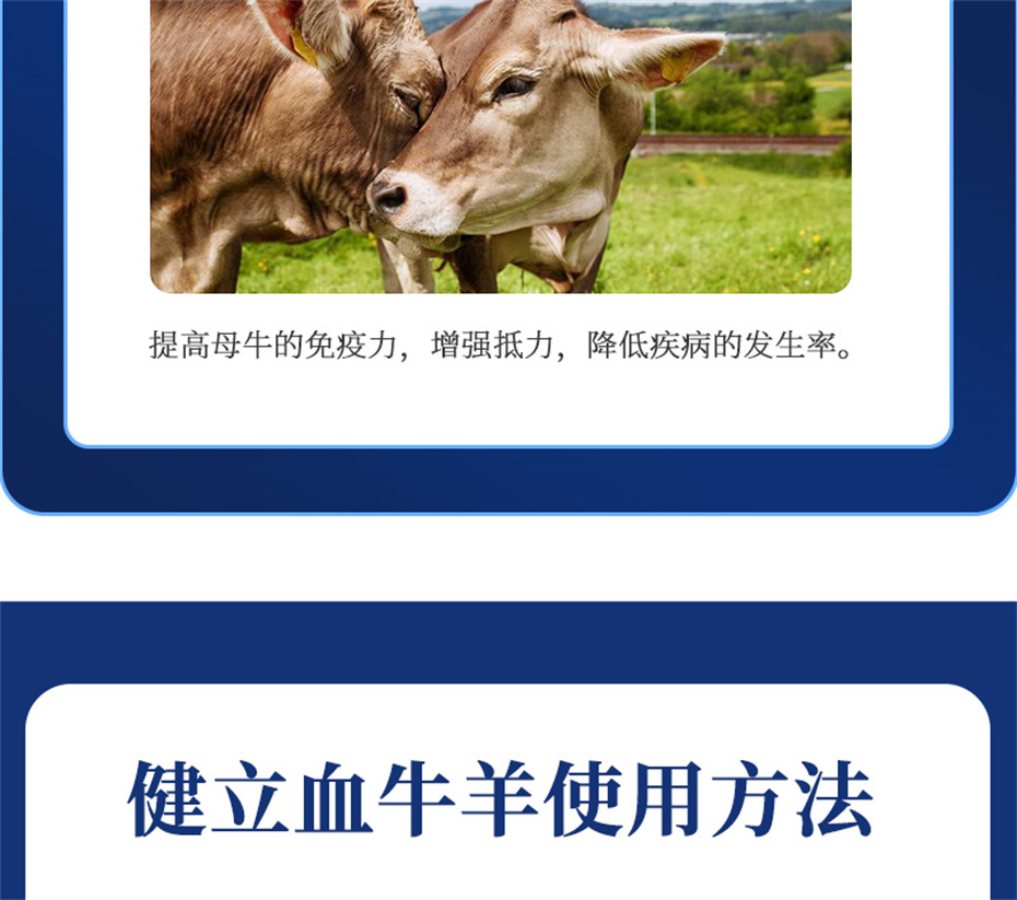 吉隆达动保牛羊饲料添加剂健立血牛羊产品介绍 吉隆达动保牛羊饲料添加剂健立血牛羊产品介绍