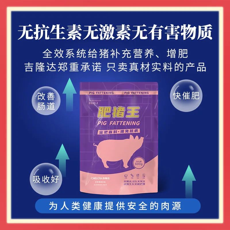 吉隆达饲料添加剂肥猪王