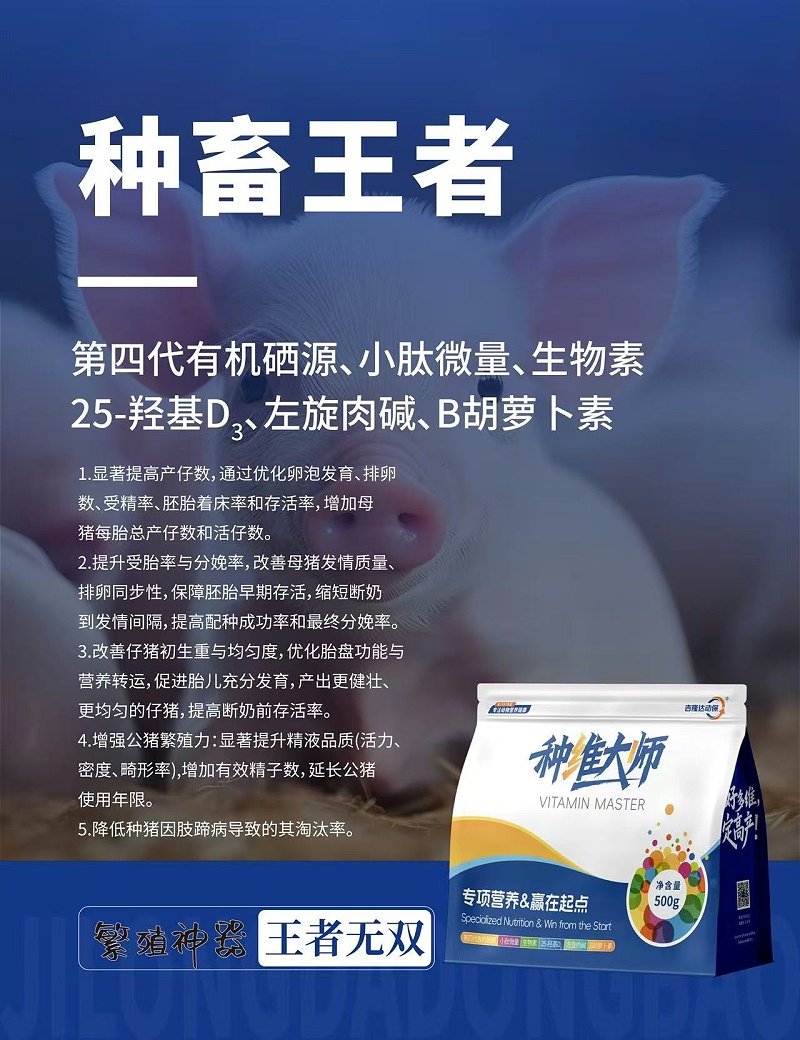 种维大师小