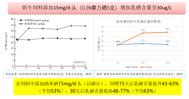图片46