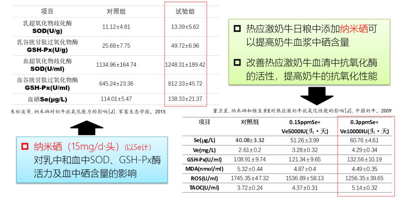 图片48