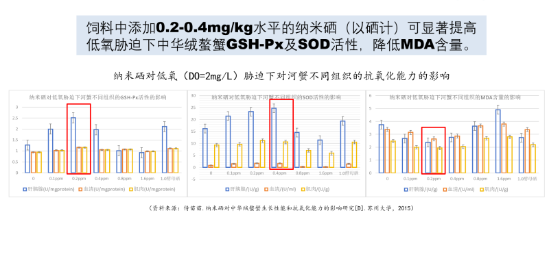 图片60