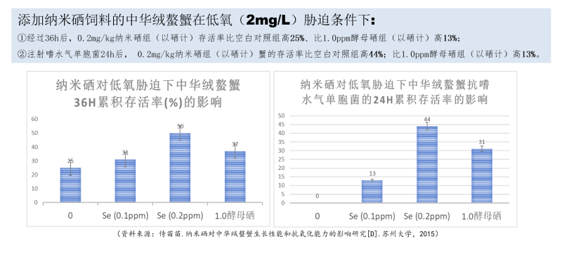 图片61