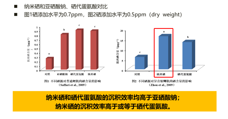 图片65