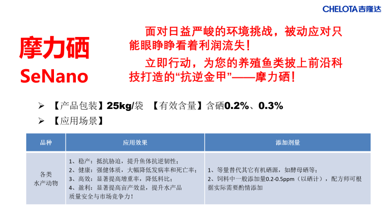 图片66