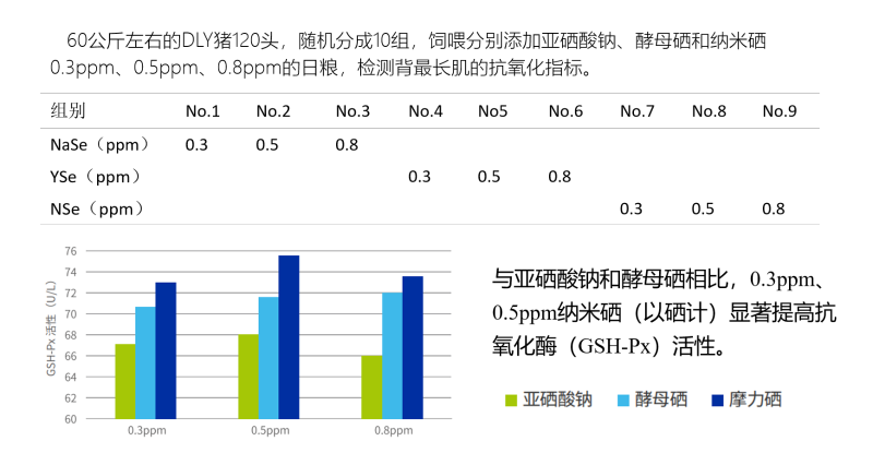 图片14