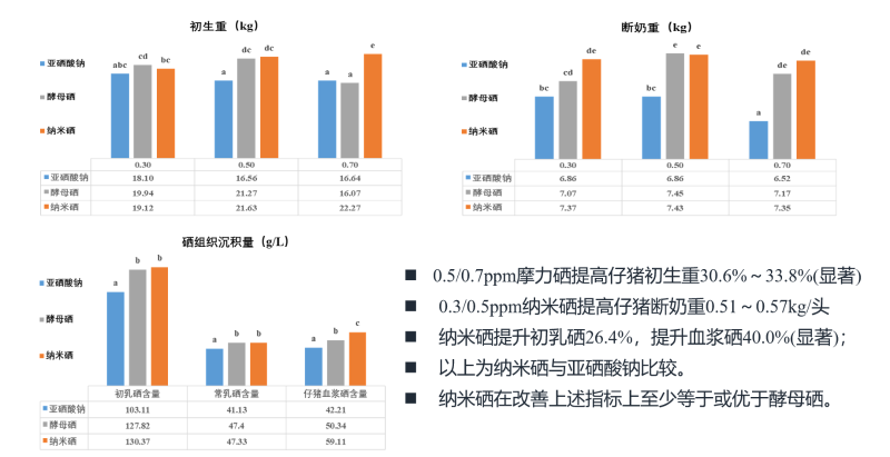 图片16