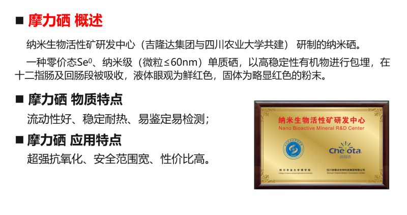 图片20