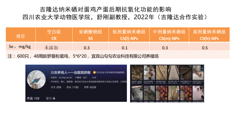 图片21 图片21