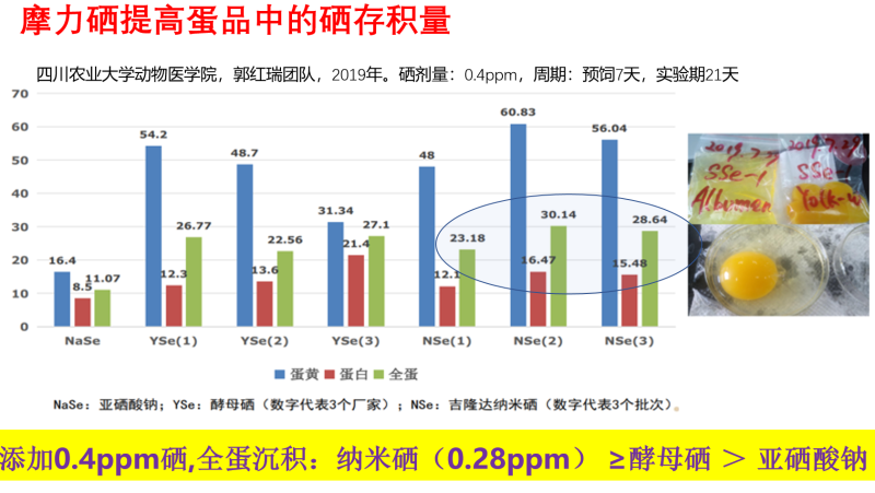 图片25