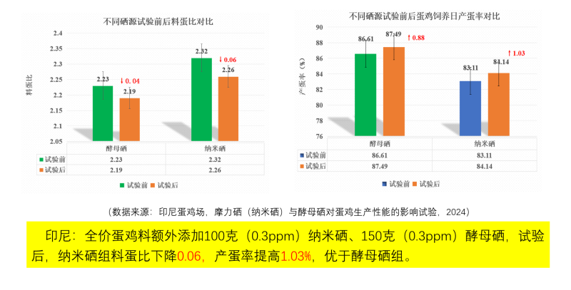 图片27