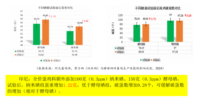 图片28