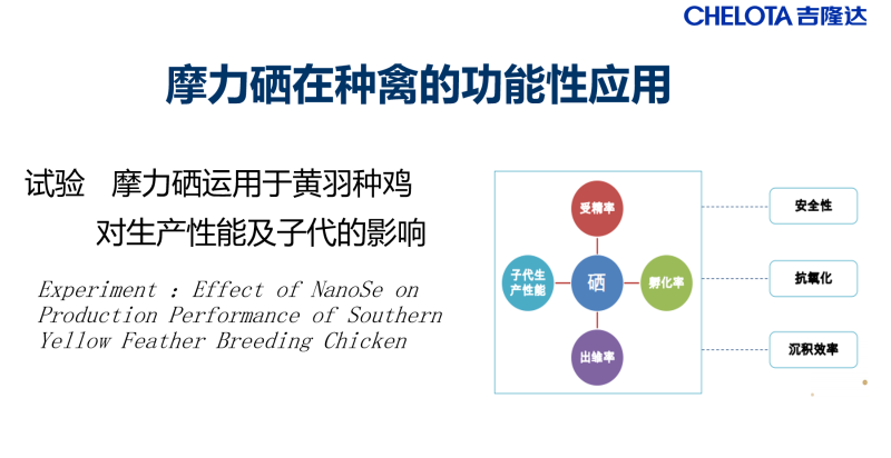 图片31
