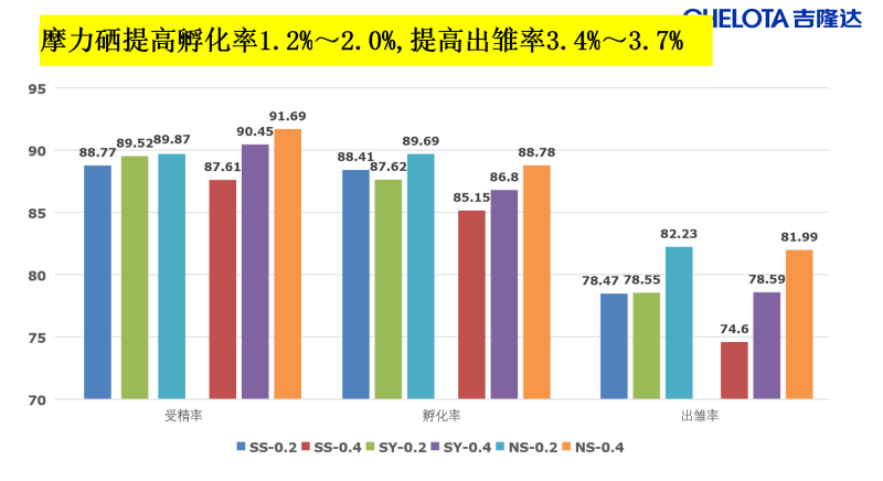 图片34