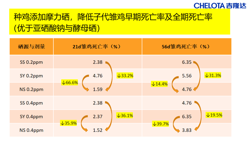 图片35