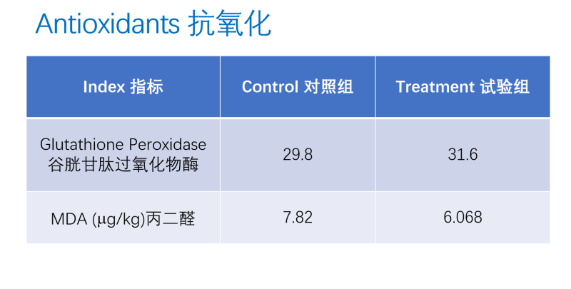 图片40