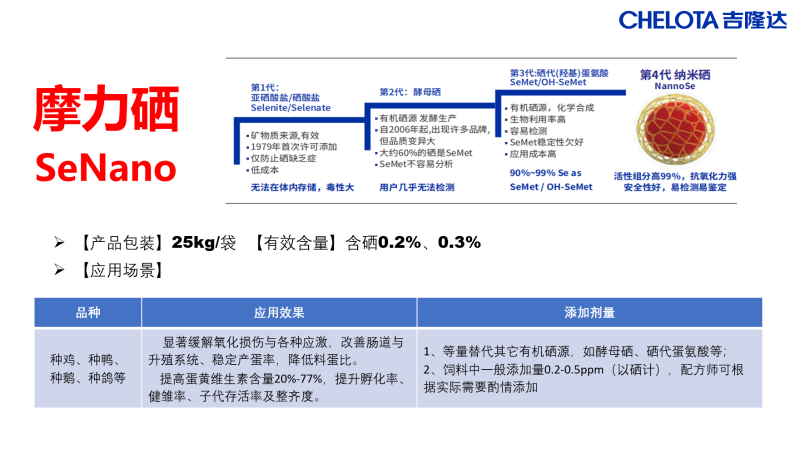 图片41
