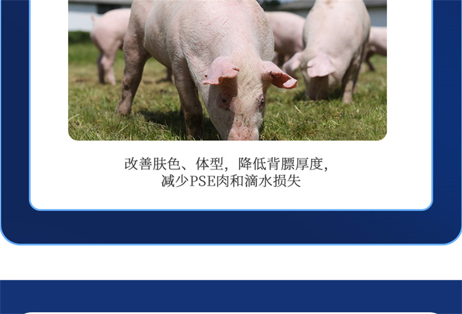 吉隆达动保猪饲料添加剂母润通产品介绍