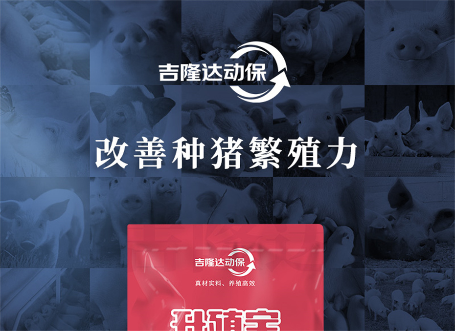 吉隆达动保猪饲料添加剂升殖宝产品介绍