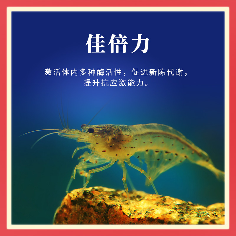 佳倍力