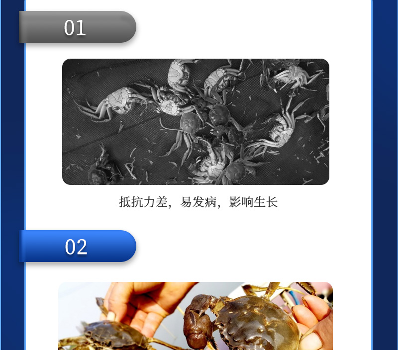 佳倍力详情_05