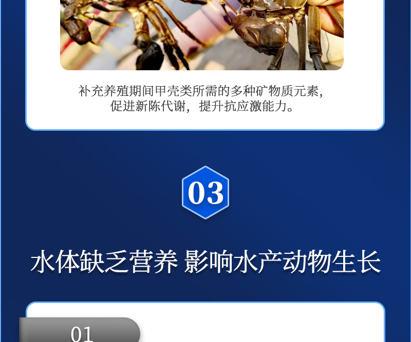 佳倍力详情_06