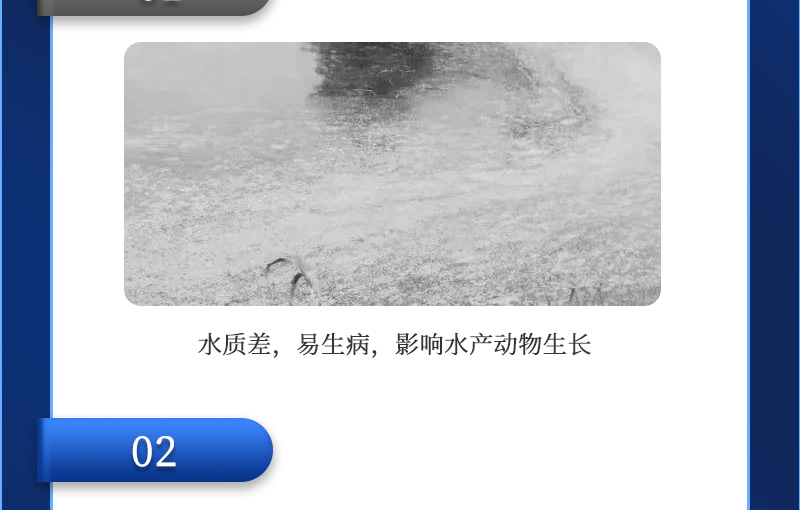 佳倍力详情_07