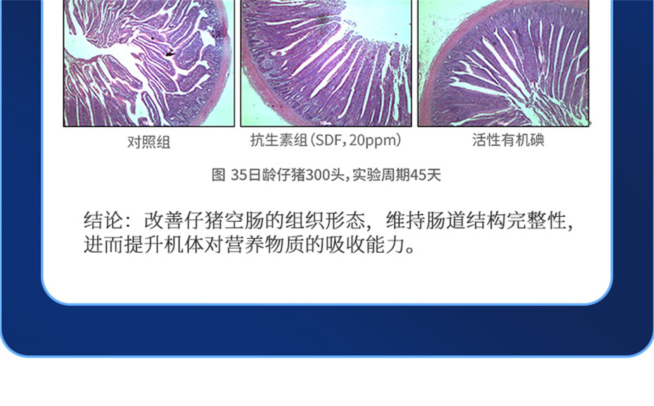 吉隆达动保猪饲料添加剂痢健120产品介绍