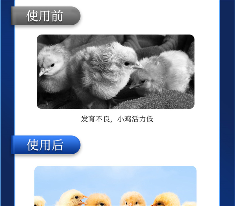 吉隆达动保禽饲料添加剂孵健宝产品介绍