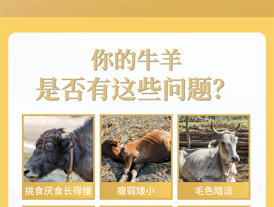 吉隆达动保牛羊饲料添加剂牛羊壮膘王产品介绍 吉隆达动保牛羊饲料添加剂牛羊壮膘王产品介绍