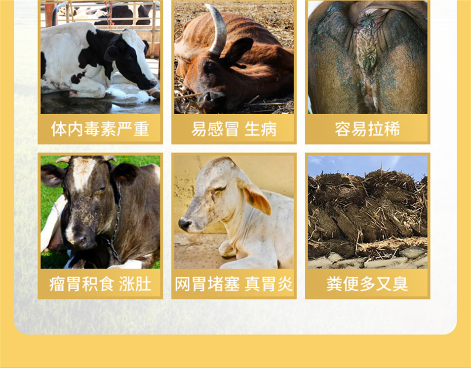 吉隆达动保牛羊饲料添加剂牛羊壮膘王产品介绍 吉隆达动保牛羊饲料添加剂牛羊壮膘王产品介绍