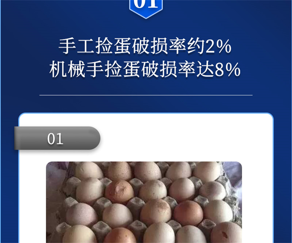 吉隆达动保禽饲料添加剂强壳宝产品介绍