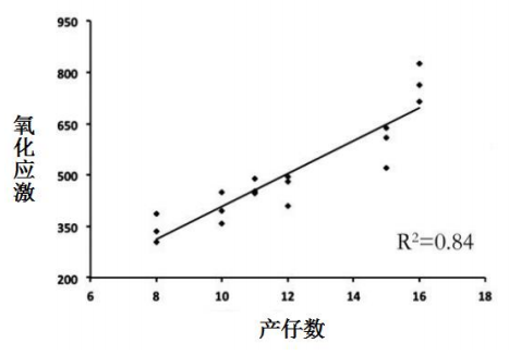 WPS图片(7)