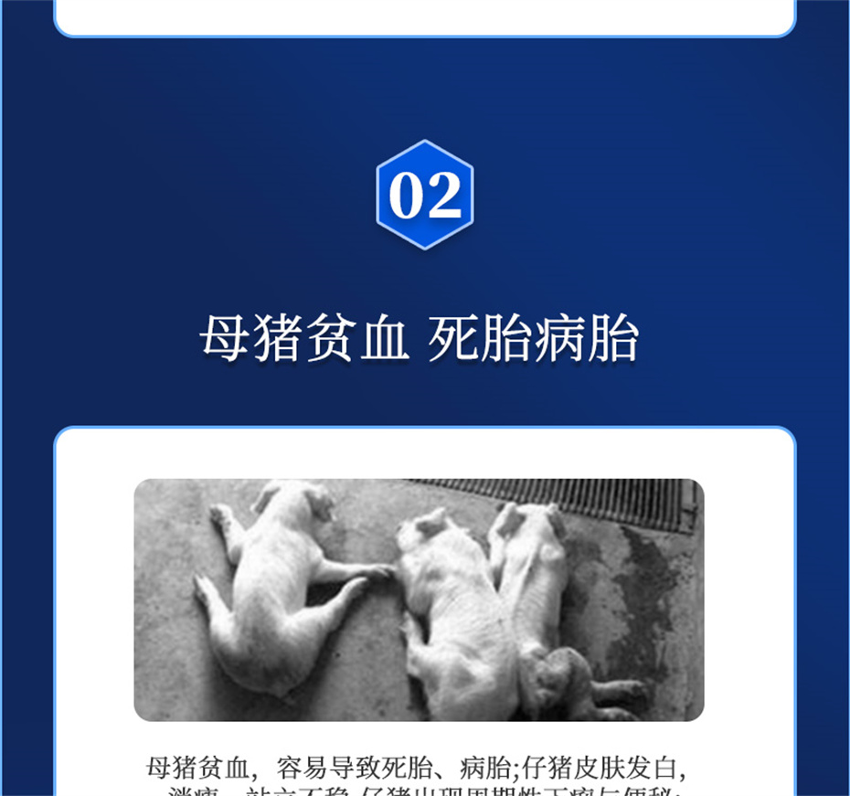吉隆达动保猪饲料添加剂健立血产品介绍