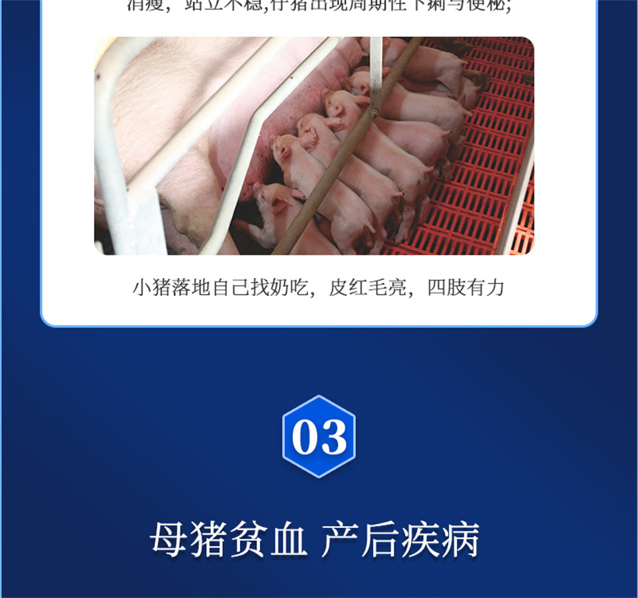 吉隆达动保猪饲料添加剂健立血产品介绍
