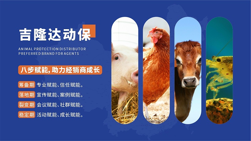 吉隆达动保底图1