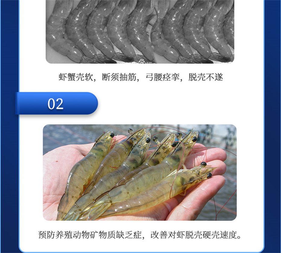 吉隆达动保水产饲料添加剂速补微s+产品介绍